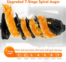 Load image into Gallery viewer, AMZCHEF Extracteur Jus - Extracteur de Jus de Fruits et Légumes - Presses-agrumes à Froid sans BPA avec 2 Tasses et Brosse - Fonction de Mastication Inversée pour Éviter les Blocages - Argent