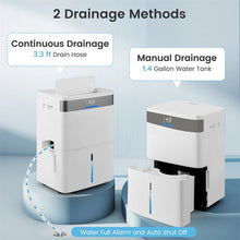 Load image into Gallery viewer, 5500 Sq.Ft 96 Pint Dehumidifier for Basement, Portable Home Dehumidifier with Drain Hose, Auto Defrost, 24H Timer &amp; Sleep Mode for Bathroom Bedroom